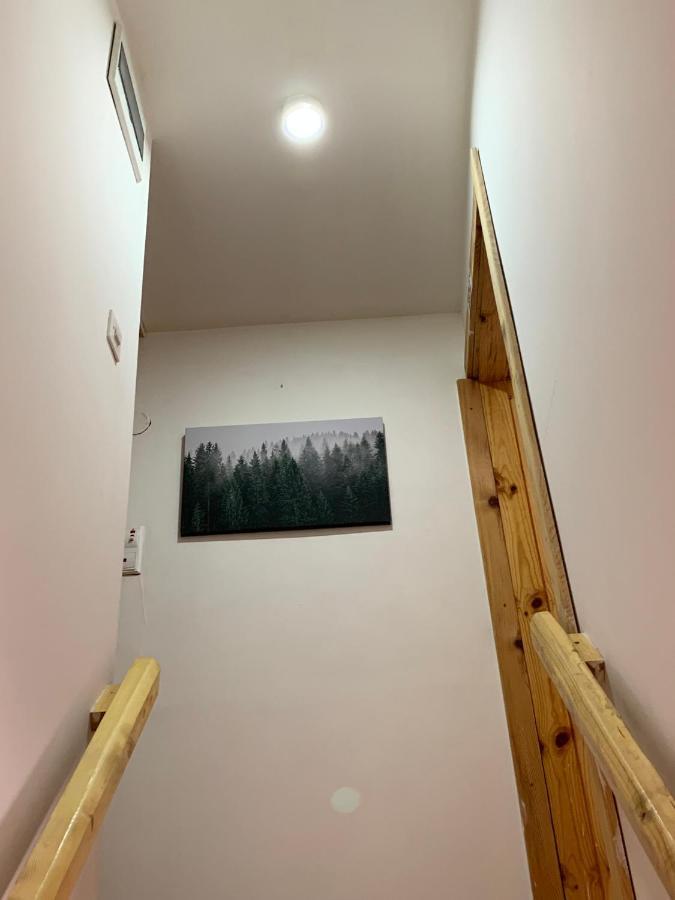 Mountain Vista Chalet Žabljak Exteriör bild